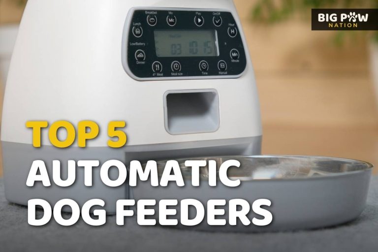 Top 5 Best Automatic Dog Feeder for Large Breeds (2025 Guide ... - Large Dog Feeder With Automatic Feeding System And Customizable Settings